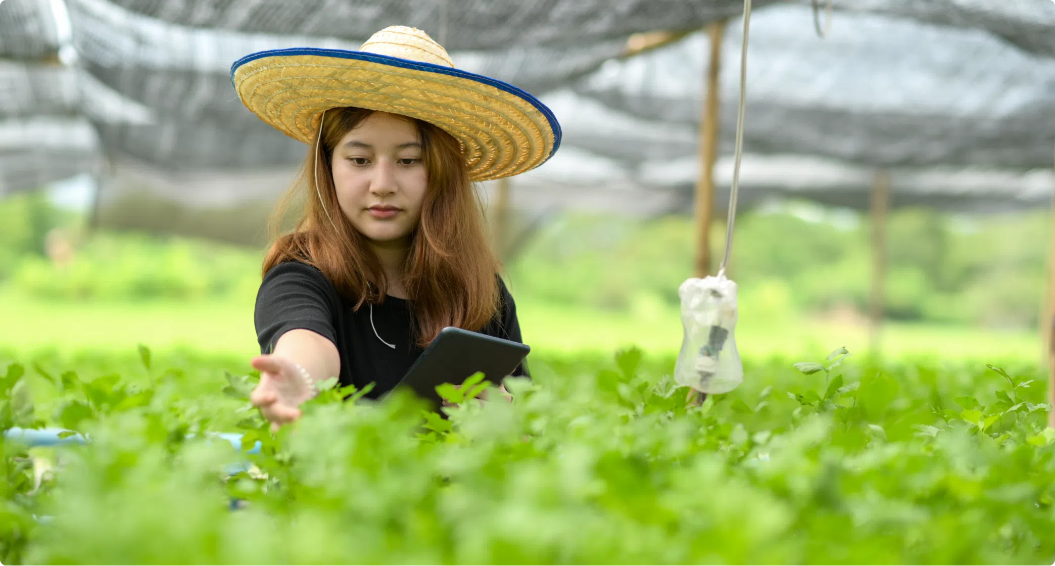 Technology in Farming